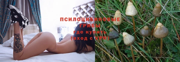 дмт Армянск